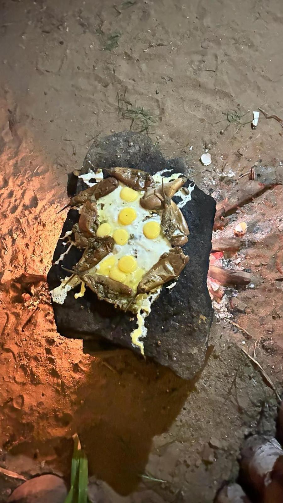 Hakuna Matata Arugambay Arugam Bay Bagian luar foto